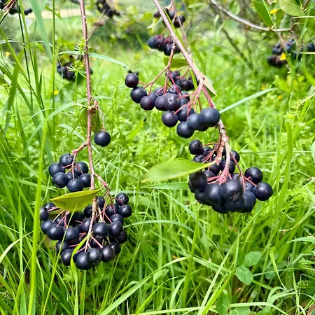 Art Nature Retreat Ferienhaus Gorica pri Slivnici