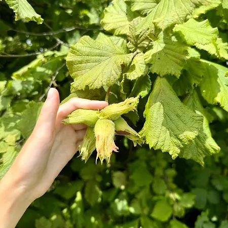 Art Nature Retreat *