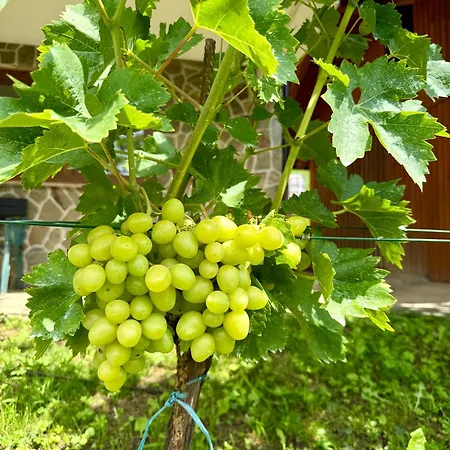 Art Nature Retreat Сasa de vacaciones *