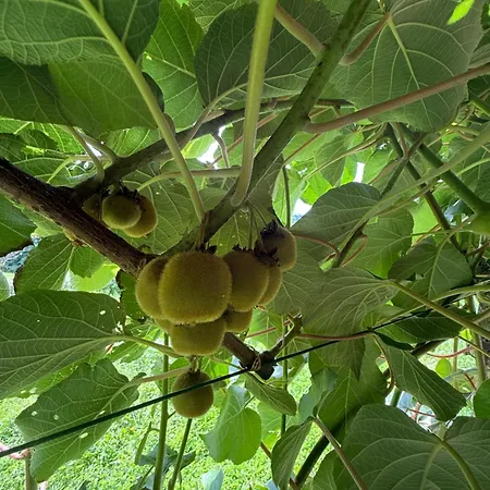 Casa vacanze Art Nature Retreat *