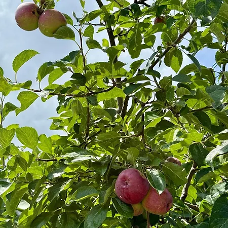 Art Nature Retreat Сasa de vacaciones