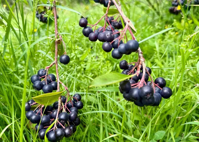 Art Nature Retreat بيت للعطل Gorica pri Slivnici