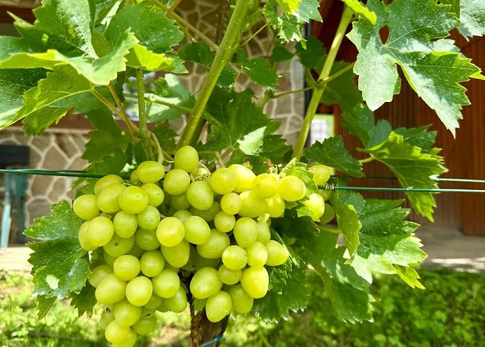 Art Nature Retreat بيت للعطل *