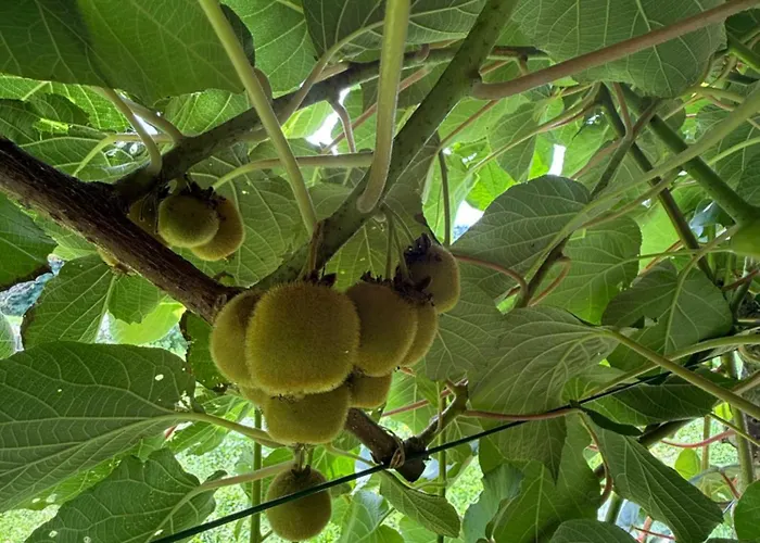 別荘 Art Nature Retreat *