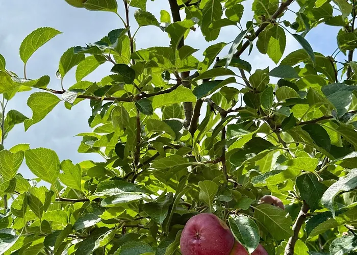 Art Nature Retreat بيت للعطل